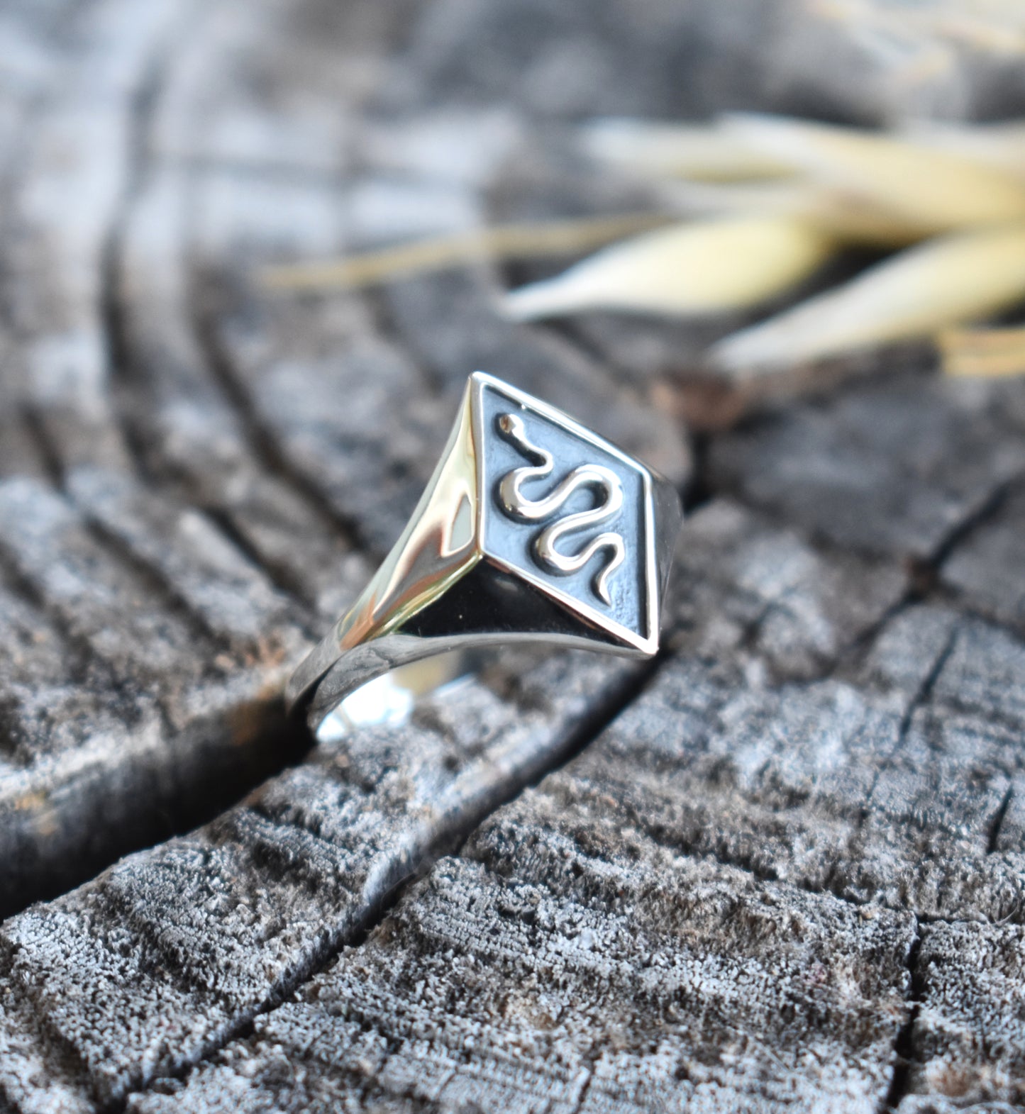 Snake Signet Ring-Sterling Silver