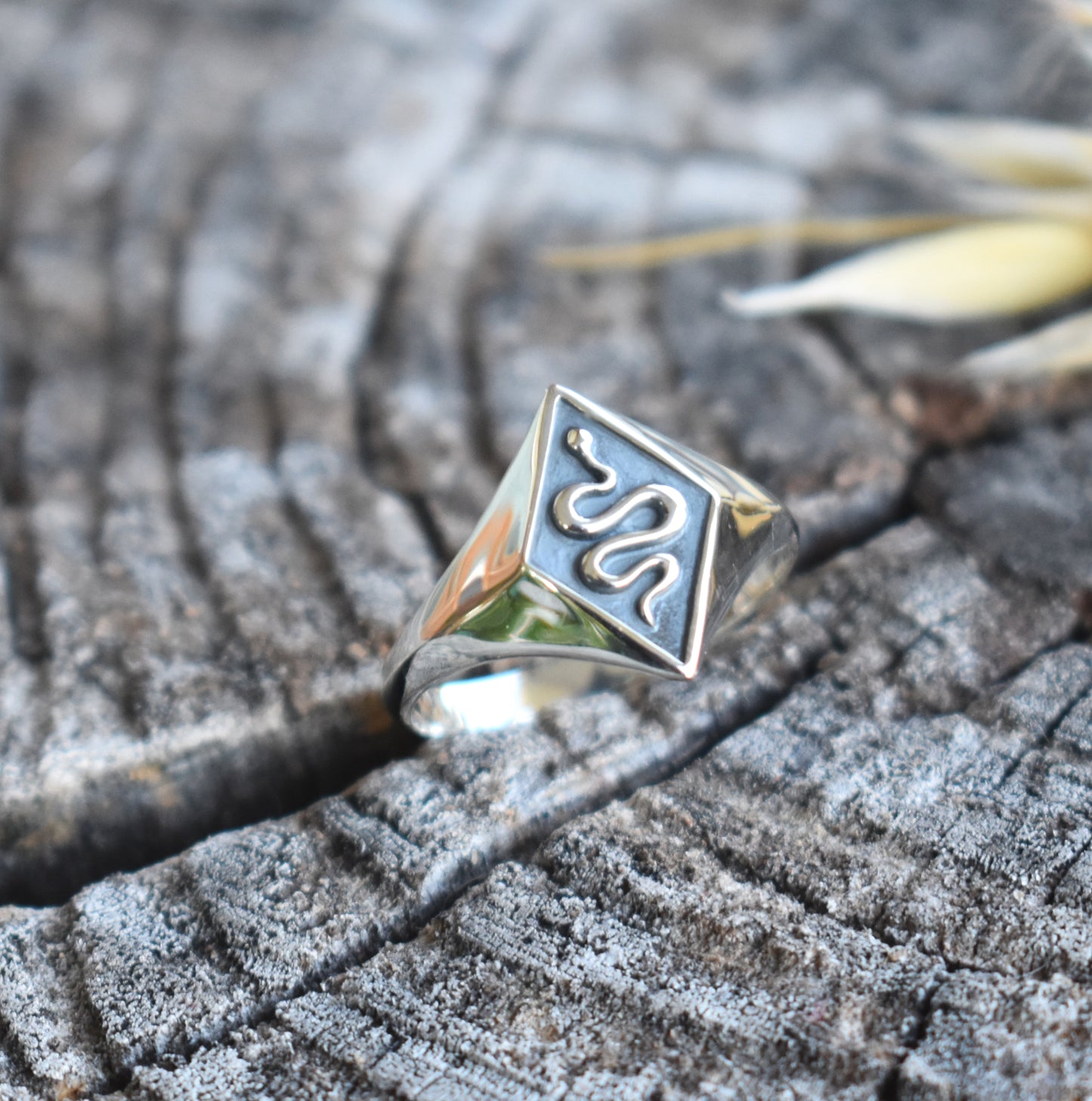 Snake Signet Ring-Sterling Silver