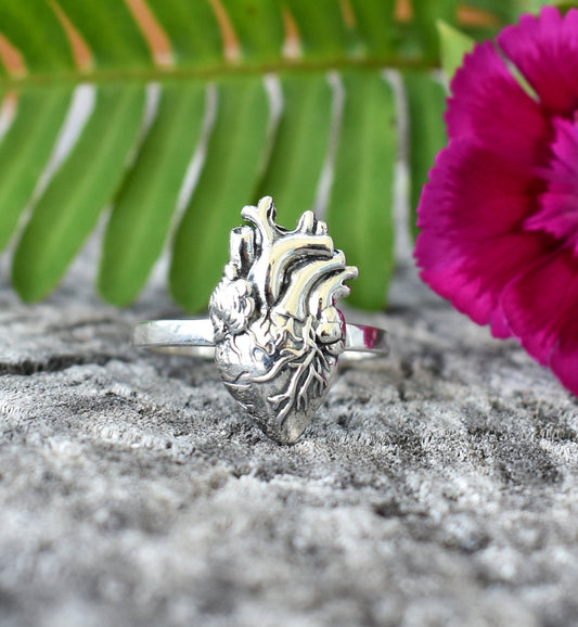 Anatomical Heart Ring- Realistic Heart, Human Heart, Nurse, Doctor-Silver Heart Ring