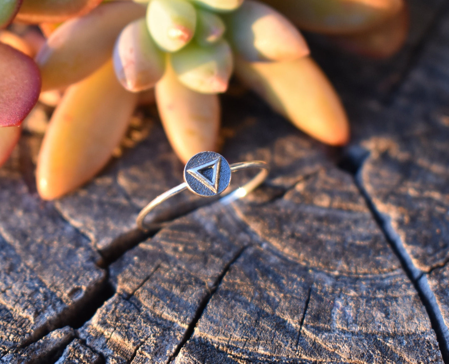 Elements Ring- Fire Ring, Air Ring, Earth Ring, Water Ring, Four Elements-Frozen Rings