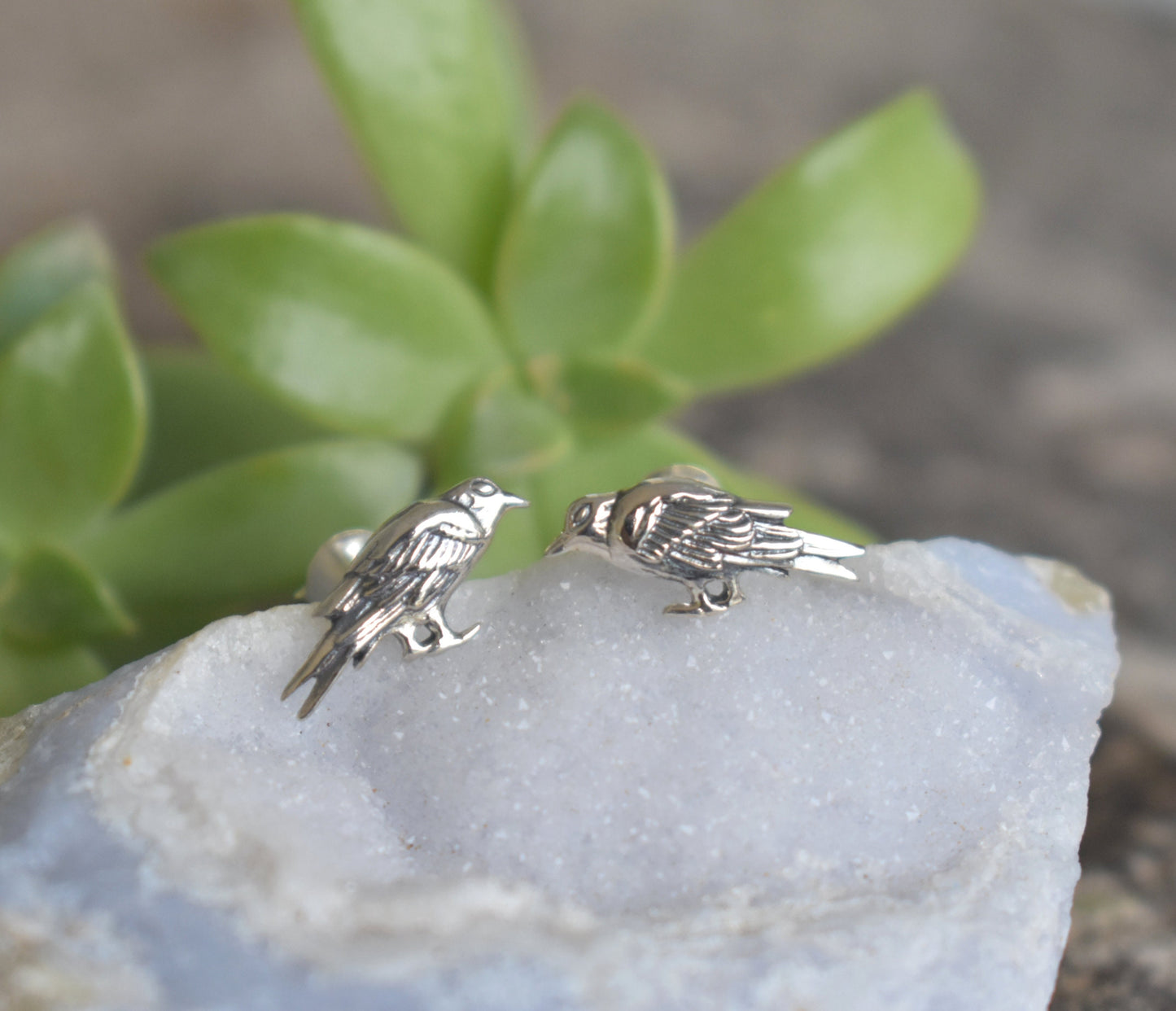 Raven Earrings- Raven Studs, Raven Jewelry, Nevermore, Edgar Allan Poe