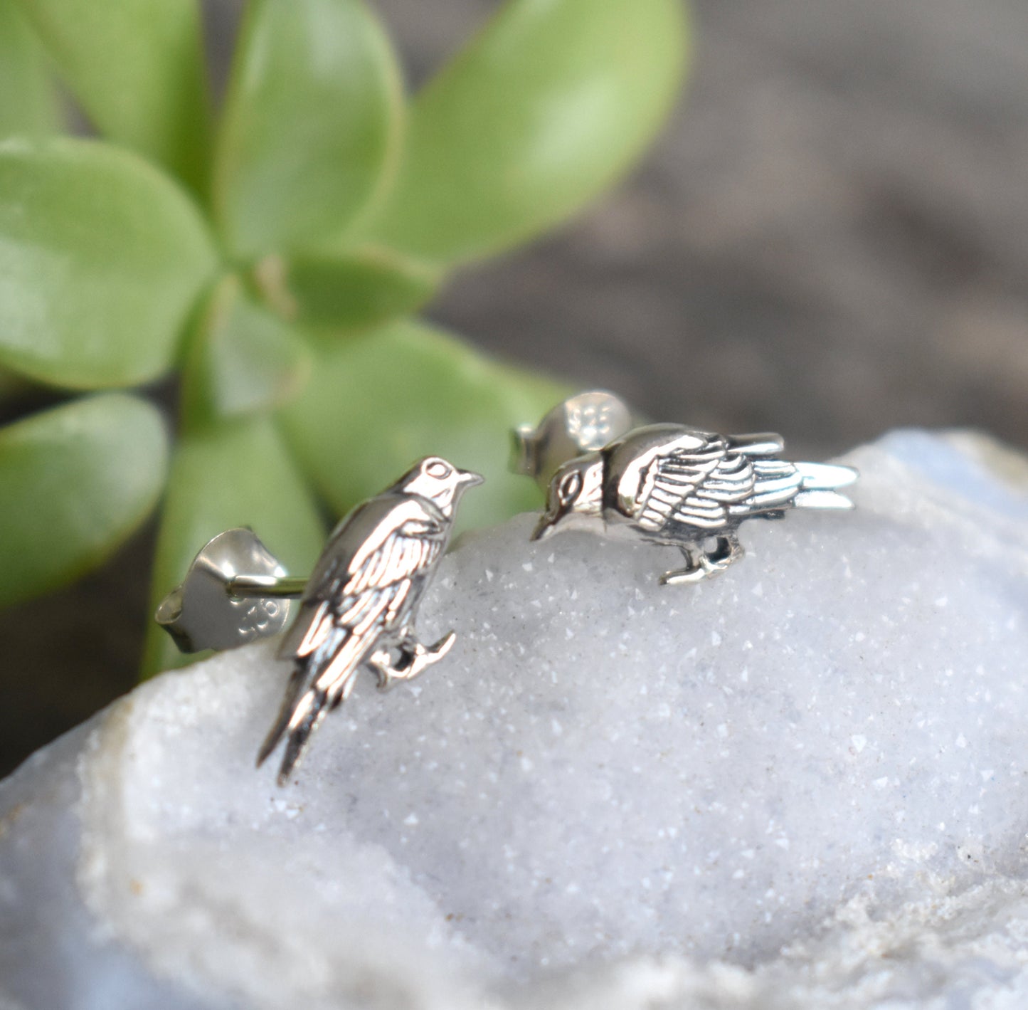 Raven Earrings- Raven Studs, Raven Jewelry, Nevermore, Edgar Allan Poe