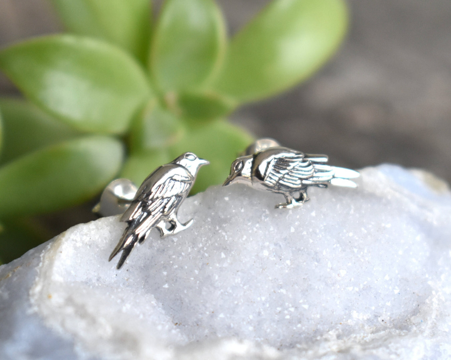 Raven Earrings- Raven Studs, Raven Jewelry, Nevermore, Edgar Allan Poe