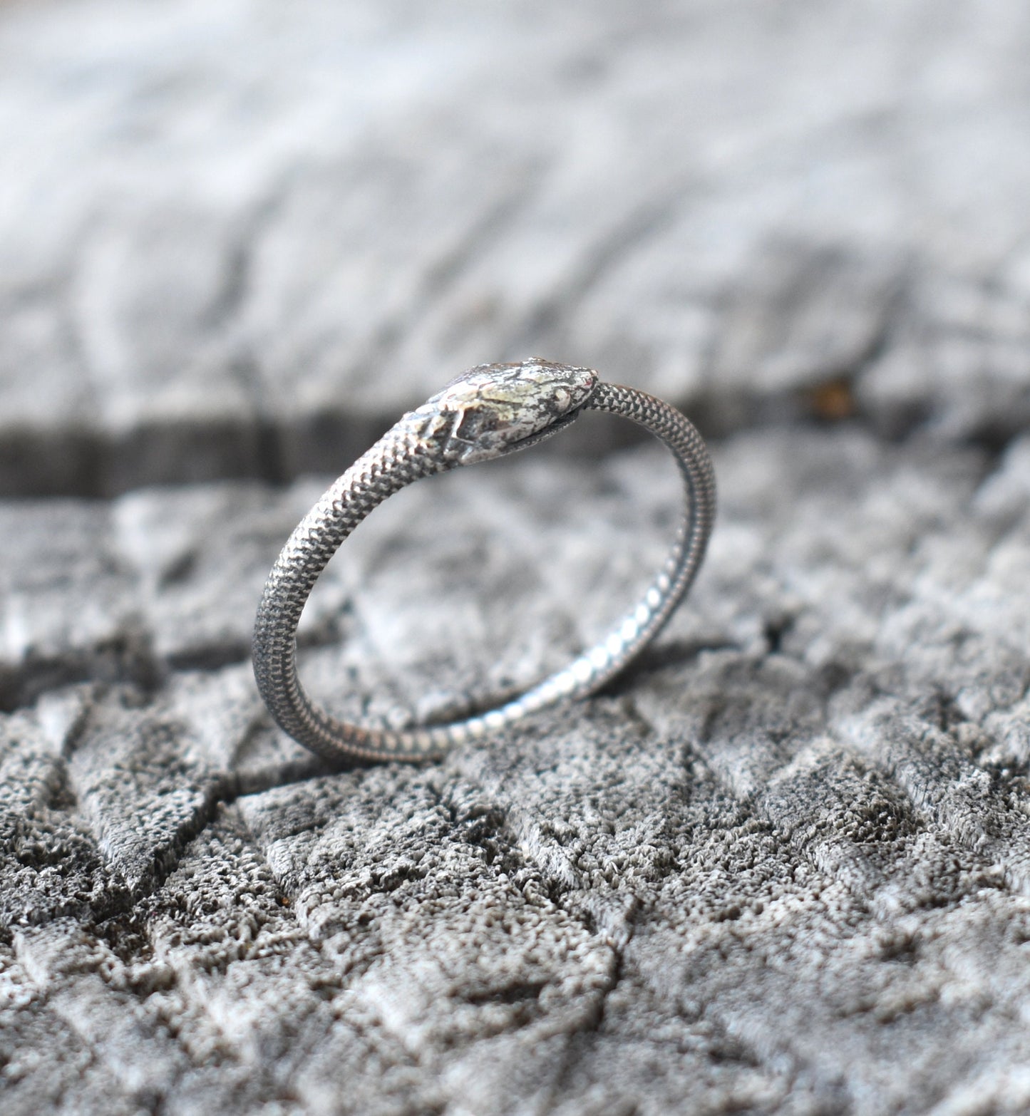 Ouroboros Ring- Snake Ring, Silver Snake Ring, Ouroboros Jewelry, Snake Jewelry-Aes Sedai