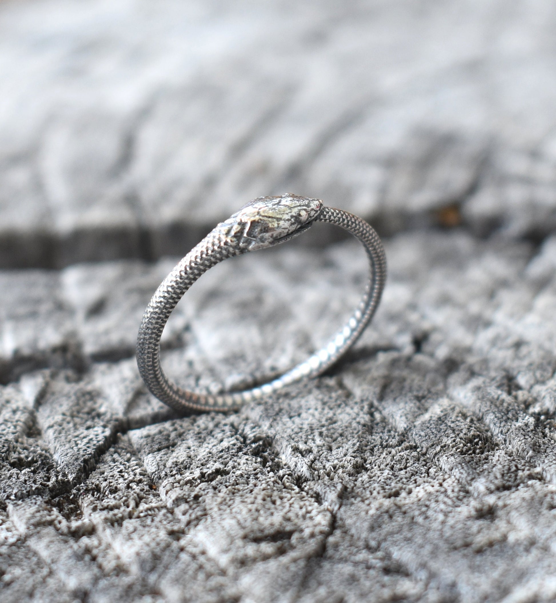 Ouroboros Ring- Snake Ring, Silver Snake Ring, Ouroboros Jewelry, Snak – A  Wild Violet
