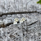 Paw Earrings- Dog Studs, Dog Jewelry, Pet Lover Gift, Puppy Earring-Silver Stud Earrings