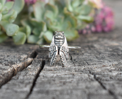 Cicada Ring- Brood Cicada, Entomologist, Cicada Wing, Renewal- Silver Ring